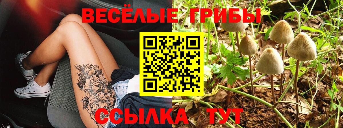 Галлюциногенные грибы Psilocybine cubensis Комсомольск-на-Амуре