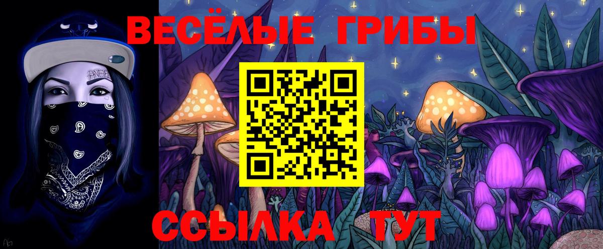 Галлюциногенные грибы Cubensis  Вход с VPN  Комсомольск-на-Амуре  Псилоцибиновые грибы MAGIC MUSHROOMS 
